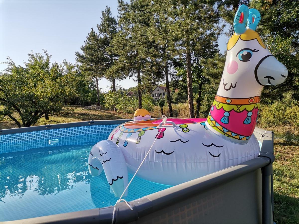 Borsko Jezero Villa Exterior foto
