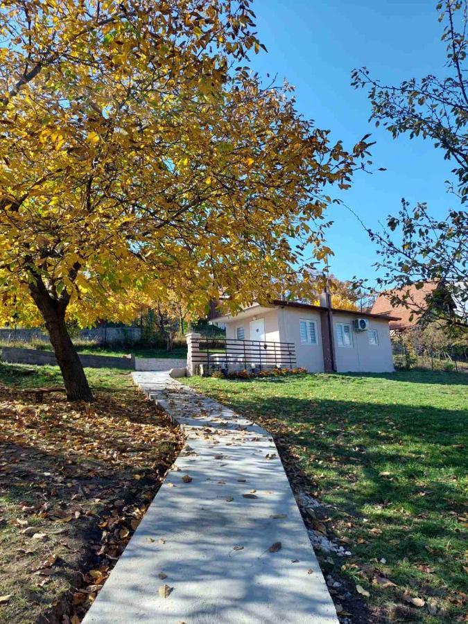 Borsko Jezero Villa Exterior foto